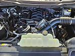 2023 Ford F-150 Regular Cab 4x2 Pickup for sale #PKG18381 - photo 18