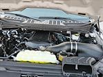 2024 Ford F-150 Regular Cab 4x4 Pickup for sale #RKF44047 - photo 20
