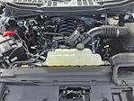 2024 Ford F-150 Regular Cab 4x2 Pickup for sale #RKF44239 - photo 16