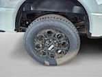 New 2025 Ford F-250 XLT Crew Cab 4x4 Pickup for sale #SED40025 - photo 13