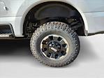 2025 Ford F-250 Crew Cab 4x4 Pickup for sale #SEE08688 - photo 10