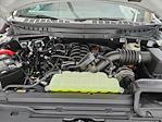 2025 Ford F-150 SuperCrew Cab 4x4 Pickup for sale #SFB88127 - photo 17