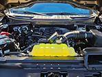 New 2025 Ford F-150 XLT SuperCrew Cab for sale #SFC49822 - photo 17