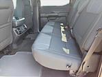 2025 Ford F-150 SuperCrew Cab 4x2 Pickup for sale #SKE38407 - photo 14