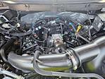 2025 Ford F-150 SuperCrew Cab 4x2 Pickup for sale #SKE38407 - photo 15