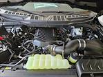 2025 Ford F-150 Regular Cab 4x4 Pickup for sale #SKE43058 - photo 18