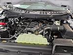 New 2025 Ford F-150 XL Regular Cab Pickup for sale #SKE61144 - photo 18