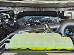 2025 Ford F-150 SuperCrew Cab 4x2 Pickup for sale #SKE73833 - photo 17