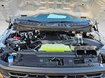 New 2025 Ford F-150 XL Regular Cab for sale #SKE74082 - photo 18