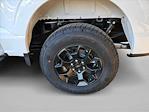 2025 Ford F-150 SuperCrew Cab 4x4 Pickup for sale #SKF47373 - photo 10