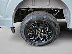 2025 Ford F-150 SuperCrew Cab 4x2 Pickup for sale #SKF58802 - photo 16