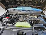 2026 Ford F-150 Regular Cab 4x2 Pickup for sale #TKD08423 - photo 17