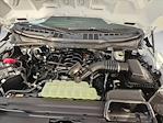 New 2026 Ford F-150 XL Regular Cab for sale #TKD08640 - photo 16