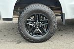 2024 Chevrolet Silverado 1500 Crew Cab 4WD Pickup for sale #25U0406 - photo 25