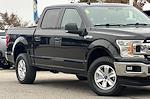 Used 2019 Ford F-150 XLT SuperCrew Cab for sale #25U0520 - photo 14