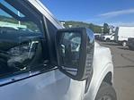 2025 Ford F-150 SuperCrew Cab 4WD Pickup for sale #FB52807 - photo 20