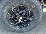 2025 Ford F-350 Regular Cab SRW 4WD Pickup for sale #FC14106 - photo 9