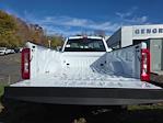 2026 Ford F-350 Regular Cab SRW 4WD Fisher Plow Truck for sale #FC33474 - photo 12