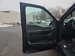 New 2025 Ford F-150 STX SuperCrew Cab for sale #FC44188X - photo 24