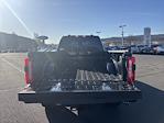 2025 Ford F-350 Crew Cab SRW 4WD Pickup for sale #FC88246 - photo 16