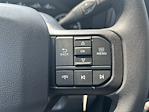 2025 Ford F-350 Regular Cab SRW 4WD Pickup for sale #FD17507 - photo 38