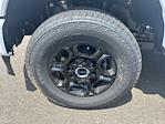 2025 Ford F-350 Regular Cab SRW 4WD Pickup for sale #FD17507 - photo 10