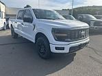 2025 Ford F-150 SuperCrew Cab 4WD Pickup for sale #FD48934X - photo 1