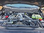 New 2026 Ford F-350 XLT Crew Cab for sale #FD76598 - photo 32
