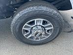 New 2025 Ford F-350 Regular Cab 4WD SRW Pickup for sale #FD80847 - photo 14