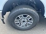 New 2025 Ford F-350 Regular Cab 4WD SRW Pickup for sale #FD80847 - photo 7