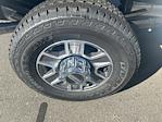 New 2025 Ford F-350 Regular Cab for sale #FD81575 - photo 17