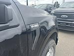 New 2025 Ford F-150 XL Regular Cab 4WD Pickup for sale #FE08620 - photo 29