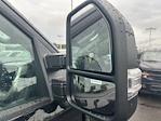 New 2025 Ford F-350 Regular Cab 4WD SRW Pickup for sale #FE09590 - photo 22
