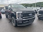 New 2025 Ford F-350 Regular Cab 4WD SRW Pickup for sale #FE09590 - photo 3