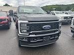 New 2025 Ford F-350 Regular Cab 4WD SRW Pickup for sale #FE09590 - photo 4