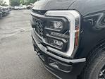 New 2025 Ford F-350 Regular Cab 4WD SRW Pickup for sale #FE09590 - photo 8