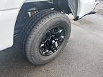 New 2025 Ford F-350 Regular Cab for sale #FE09903 - photo 15