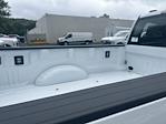 New 2025 Ford F-350 Regular Cab 4WD SRW Pickup for sale #FE09975 - photo 16