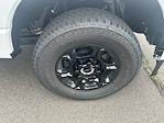New 2025 Ford F-350 Regular Cab 4WD SRW Pickup for sale #FE09975 - photo 21