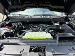 2024 Ford F-150 SuperCrew Cab 4WD Pickup for sale #SLE20740 - photo 19