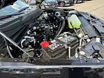2024 Ford F-150 SuperCrew Cab 4WD Pickup for sale #SLE20740 - photo 20