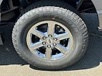 2024 Ford F-150 SuperCrew Cab 4WD Pickup for sale #FE29590 - photo 17
