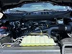 2024 Ford F-150 SuperCrew Cab 4WD Pickup for sale #FE29590 - photo 19
