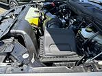 2024 Ford F-150 SuperCrew Cab 4WD Pickup for sale #FE29590 - photo 21