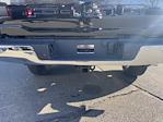 2024 Ford F-150 SuperCrew Cab 4WD Pickup for sale #FF32131X - photo 16