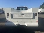 New 2024 Ford F-250 Regular Cab 4WD Reading Aluminum U98-SWs 8' 2" Service Truck for sale #FF97075 - photo 26