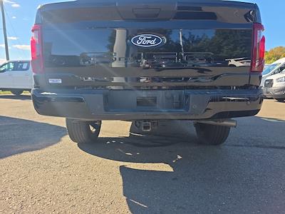 2024 Ford F-150 SuperCrew Cab 4WD Pickup for sale #GE45418 - photo 1