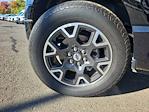 2024 Ford F-150 SuperCrew Cab 4WD Pickup for sale #GE45418 - photo 41