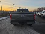 2023 Ford F-150 SuperCrew Cab 4WD Pickup for sale #PG20532 - photo 5