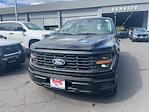 New 2025 Ford F-150 XL SuperCrew Cab for sale #250244 - photo 1